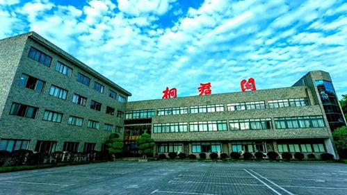 百年中藥品牌的 變 與 不變